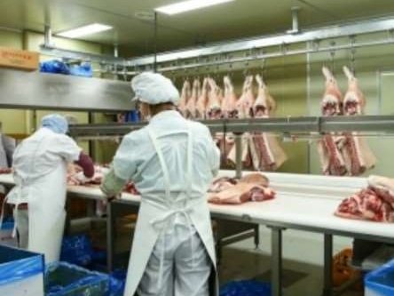 OEM 및 맞춤스펙